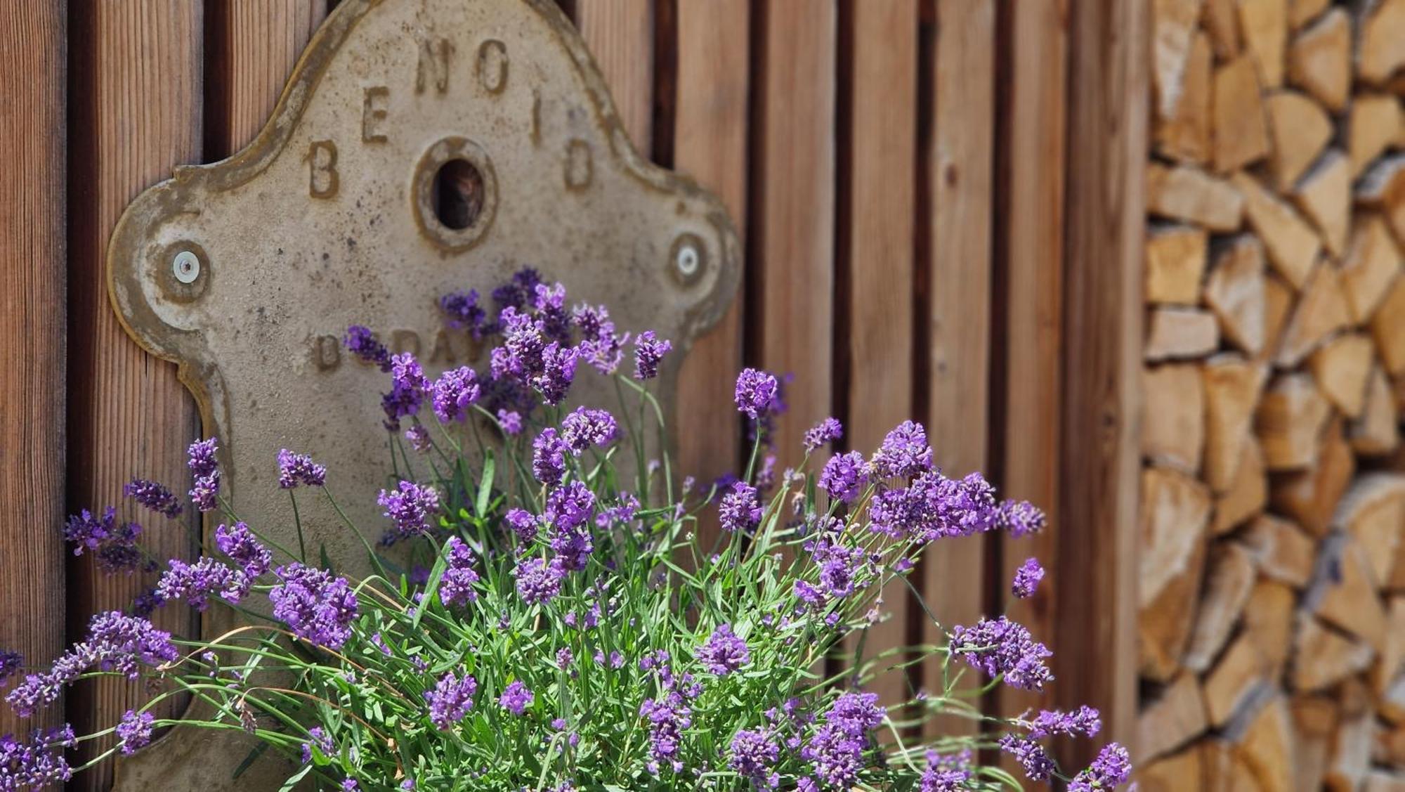 Curaglia Nostalgie Bed & Breakfast Chraemerhus المظهر الخارجي الصورة